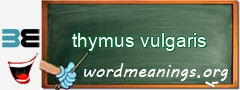 WordMeaning blackboard for thymus vulgaris